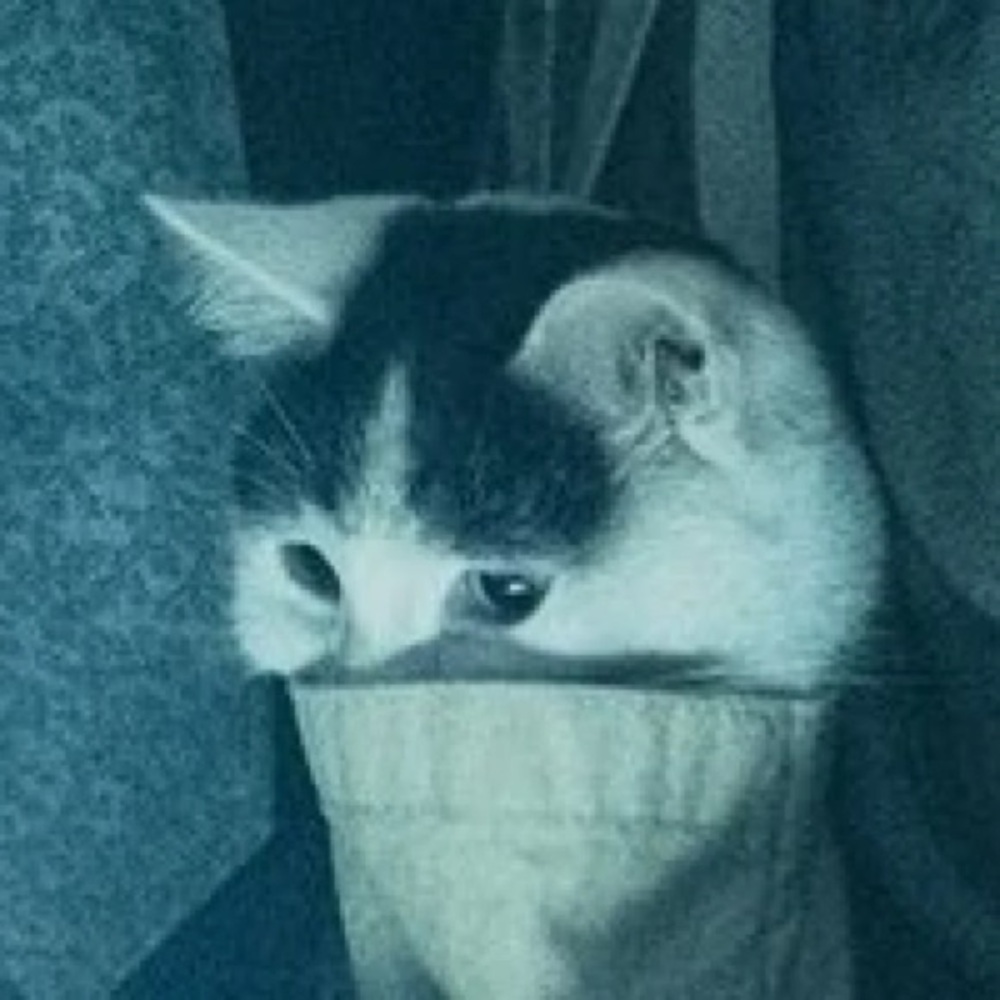 Meet your Posher, Eleanor